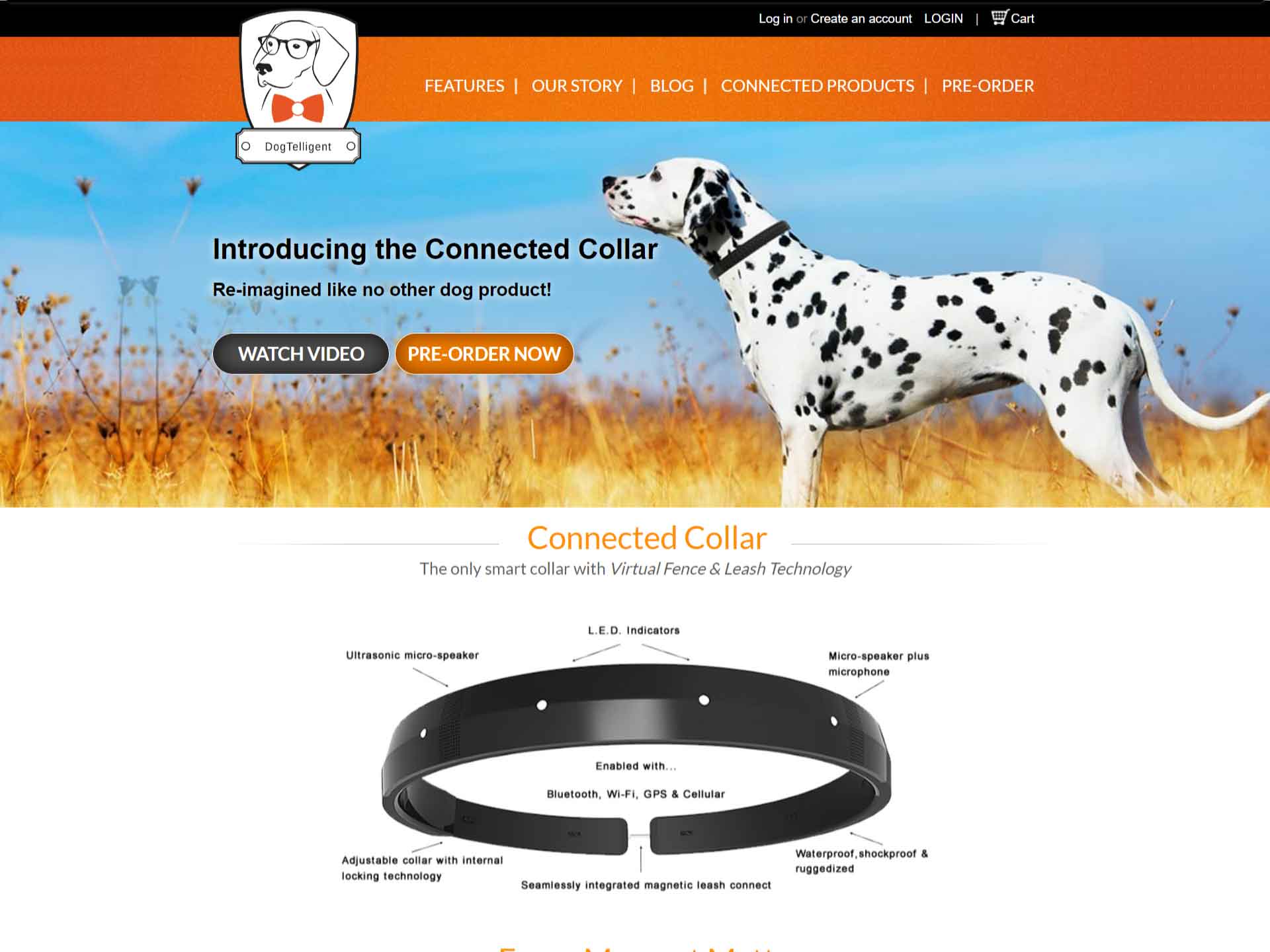 Dogtelligent